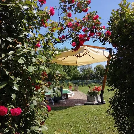 Appartamento I Limori San Giuliano Terme Exterior foto